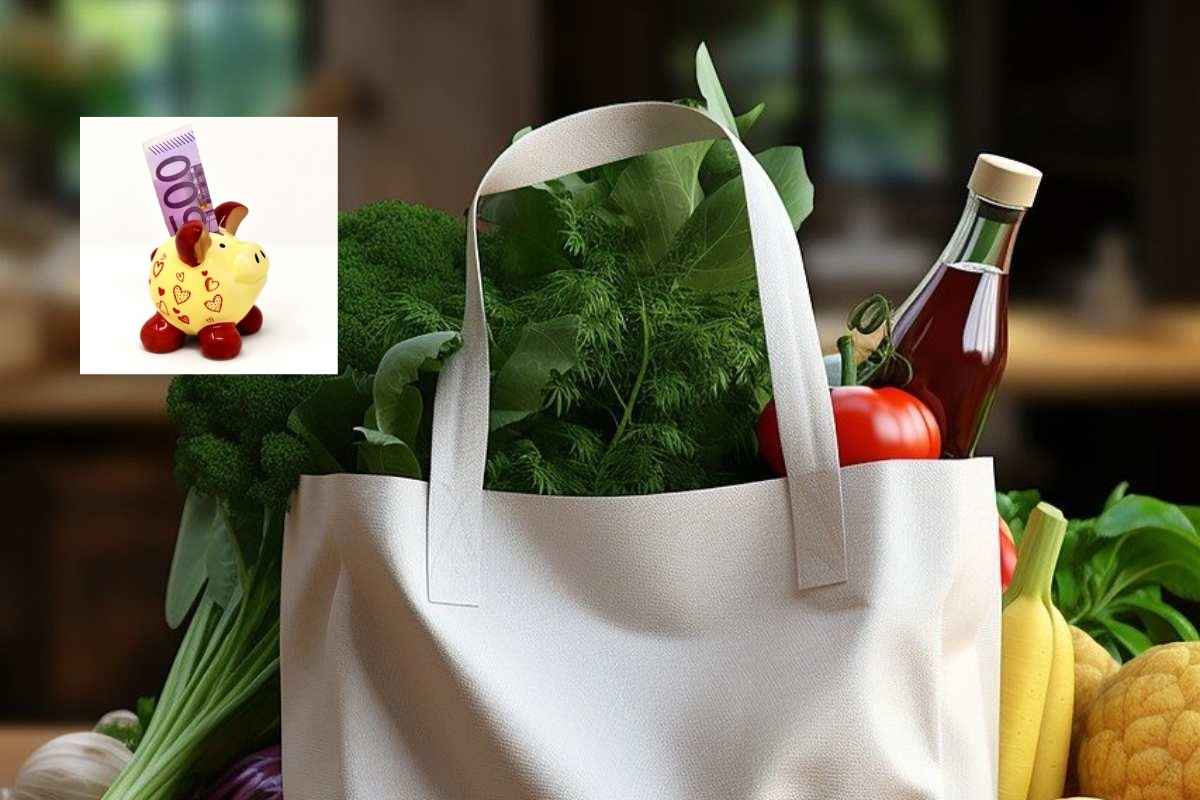 borsa della spesa piena di cibo e accanto un salvadanaio con dentro delle banconote