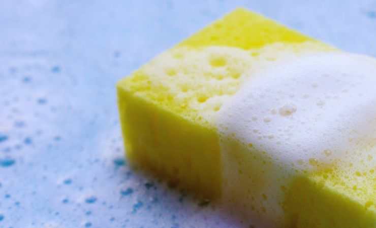 una spugnetta con il sapone
