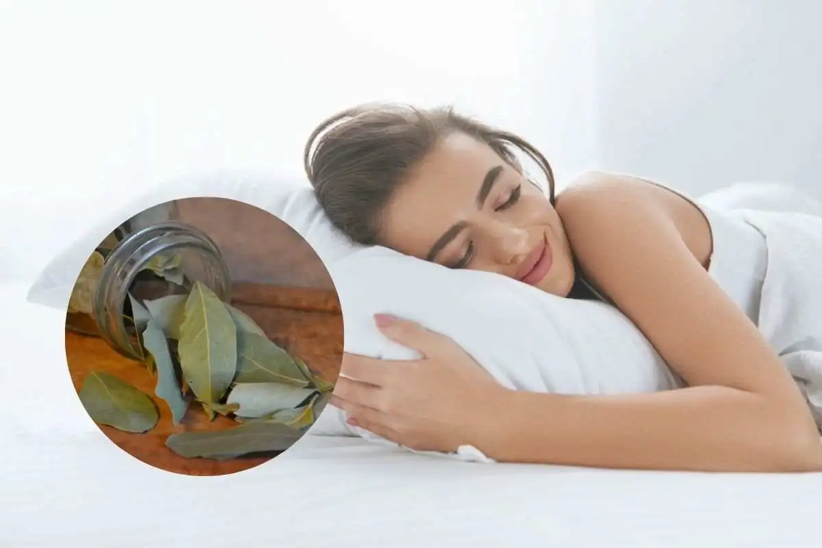 una ragazza dorme col cuscino, nel cerchietto foglie di alloro