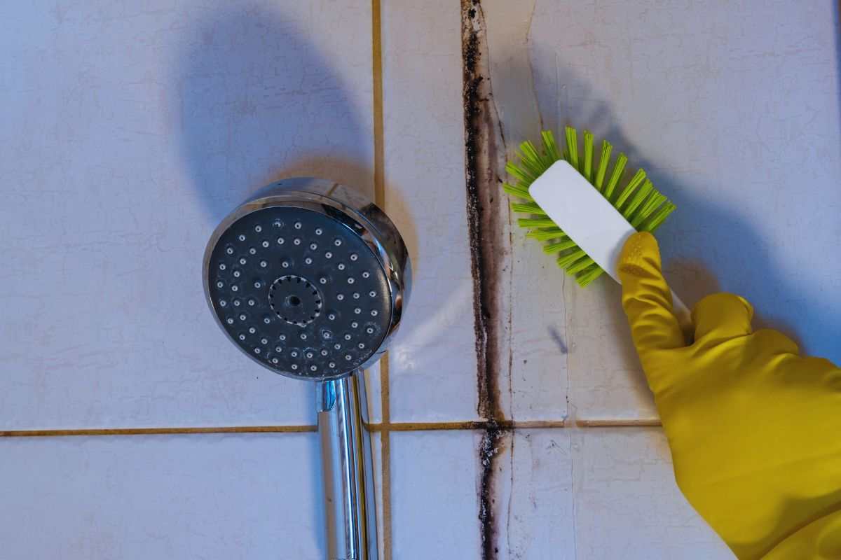 il doccino e una spazzola mentre pulisci 