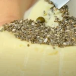 forma di formaggio vegano con semi chia