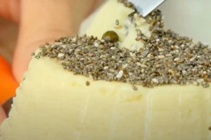 forma di formaggio vegano con semi chia