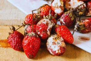 fragole marce