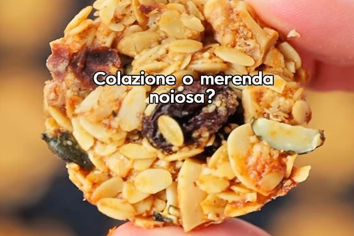 granola cookie