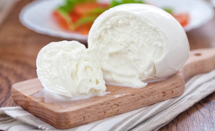 mozzarella