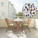 un terrazzo e degli insetti nel cerchietto