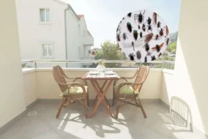 un terrazzo e degli insetti nel cerchietto