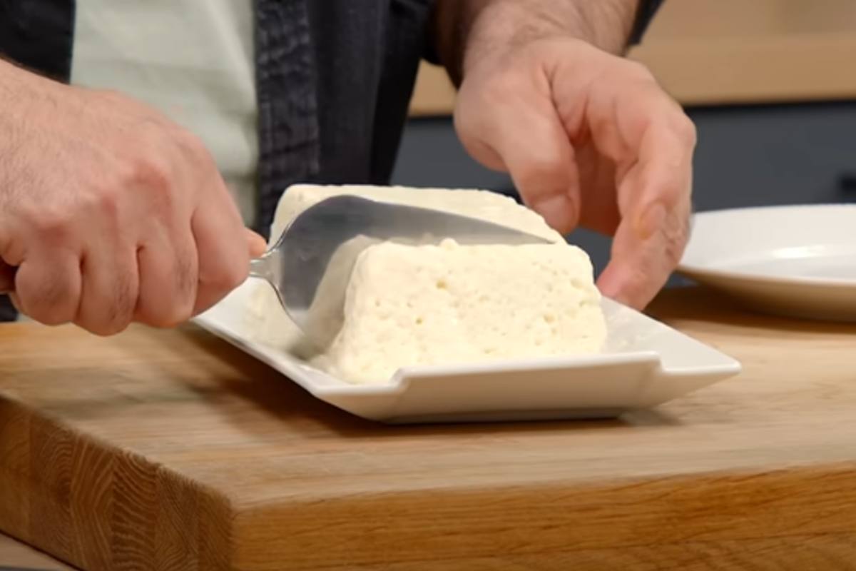 luca pappagallo taglia semifreddo