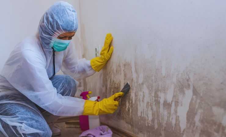 un uomo con protezioni toglie muffa dal bagno