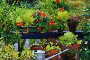 piantine in balcone