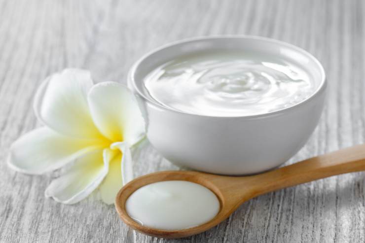 ciotola con crema allo yogurt, un fiore e un mestolo