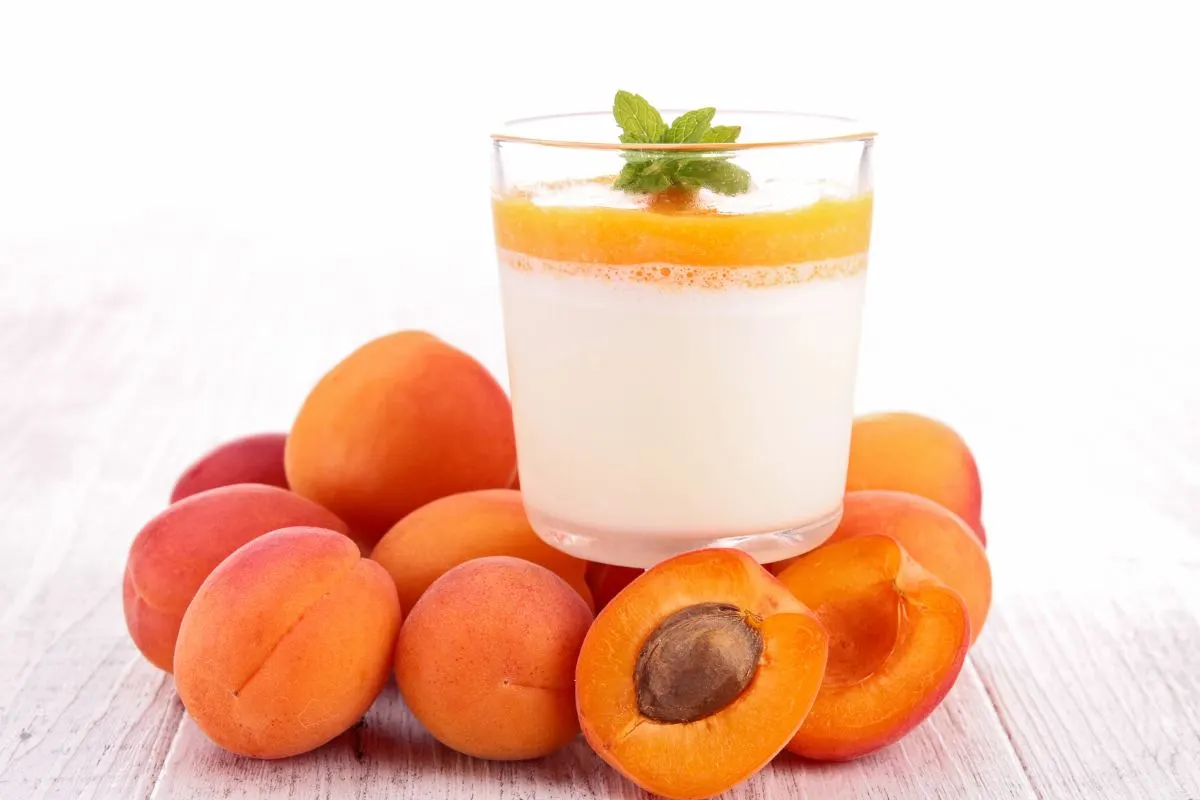 panna cotta e albicocche
