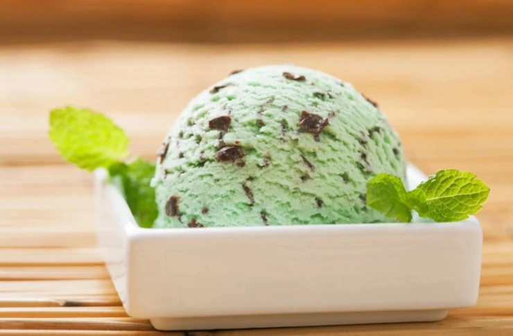 pallina di gelato alla menta e cioccolato dentro ad un piattino