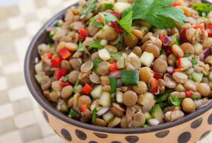 ciotola di insalata di lenticchie mista