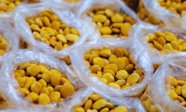 lupini in delle buste