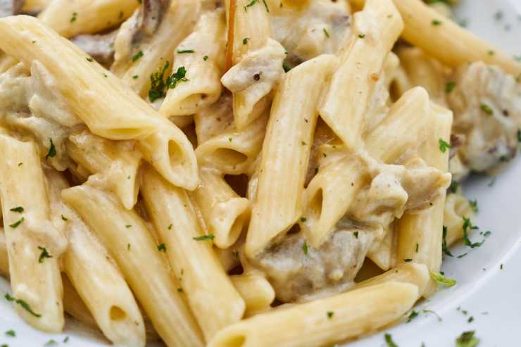 penne condite con la salsa tonnata