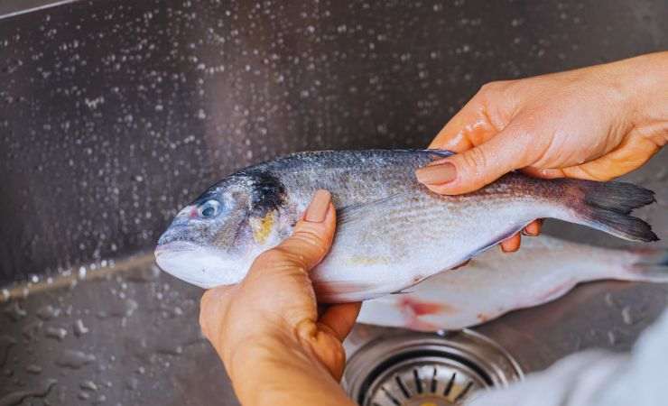 pesce lavato nel lavandino
