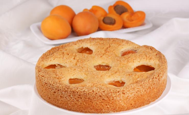 torta con albicocche