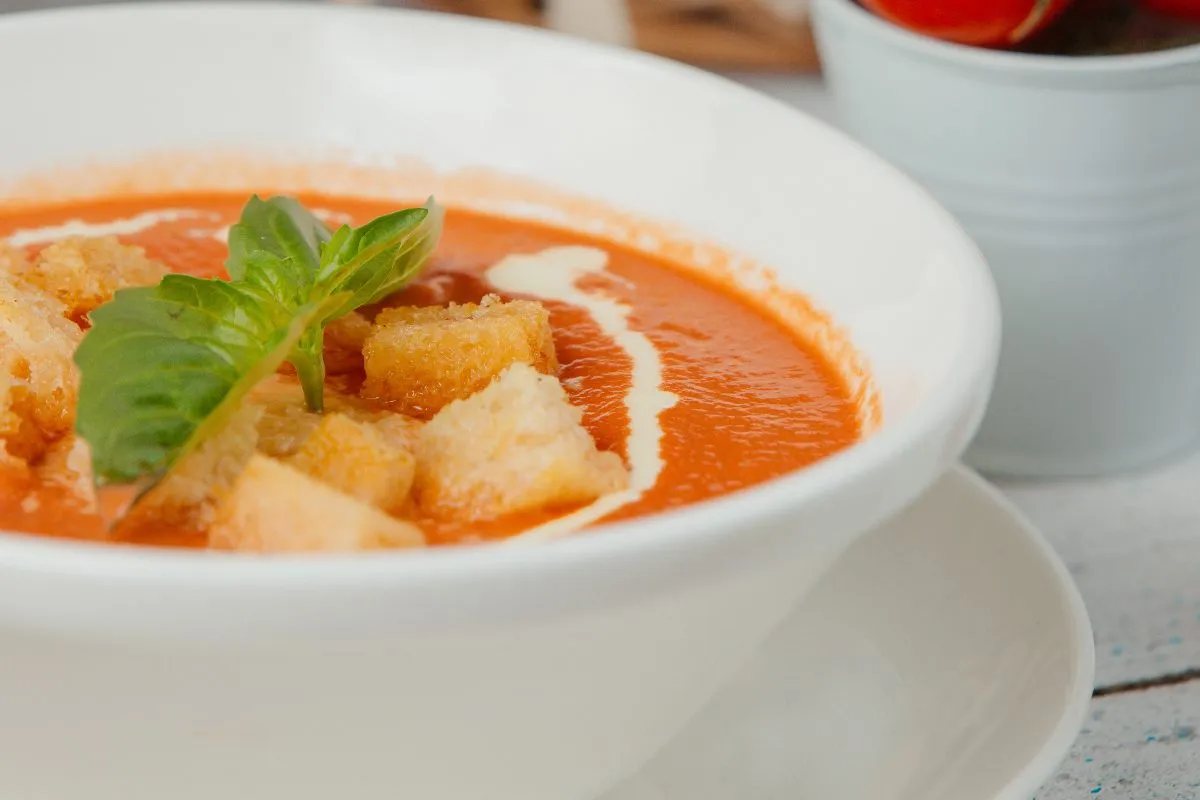 pappa al pomodoro