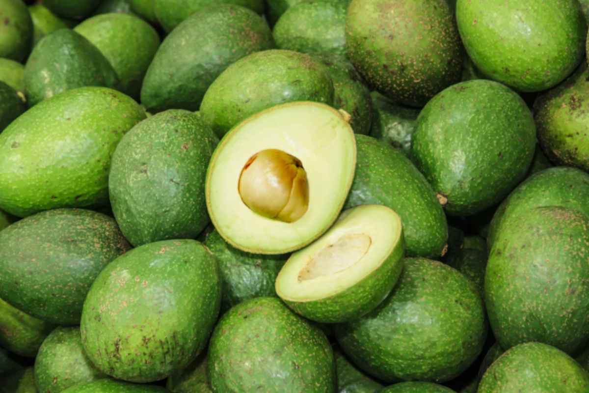 vari avocado sparsi