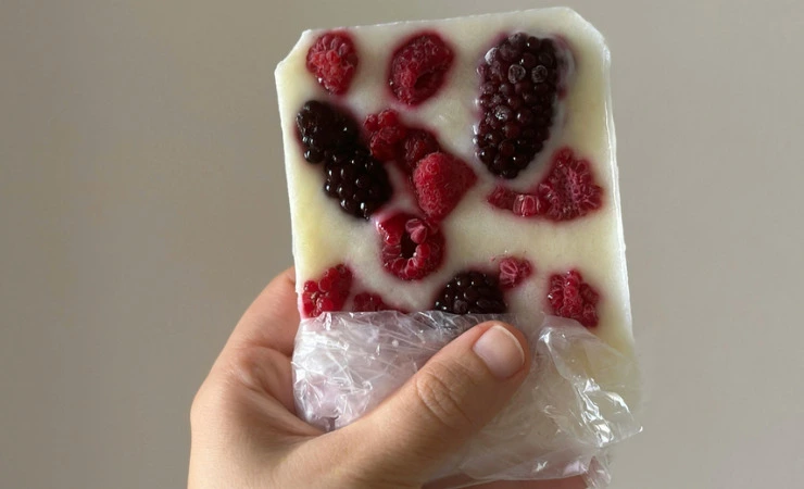 Persona che tiene in mano una barretta di yogurt e frutti di bosco