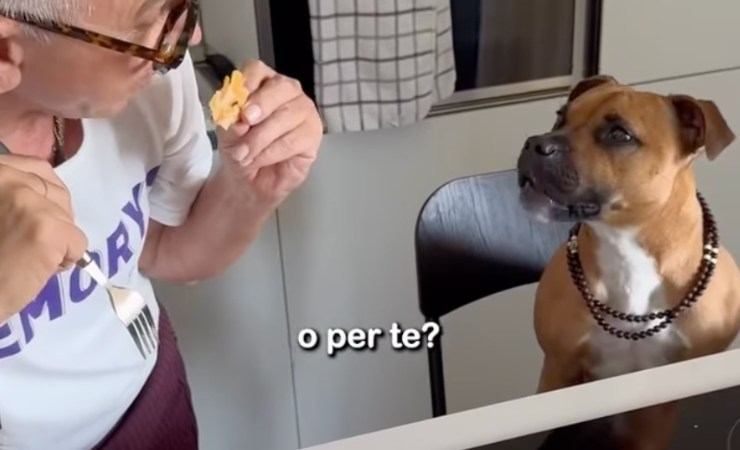 Bruno barbieri in compagnia della cagnolina Mia
