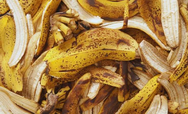 bucce di banana