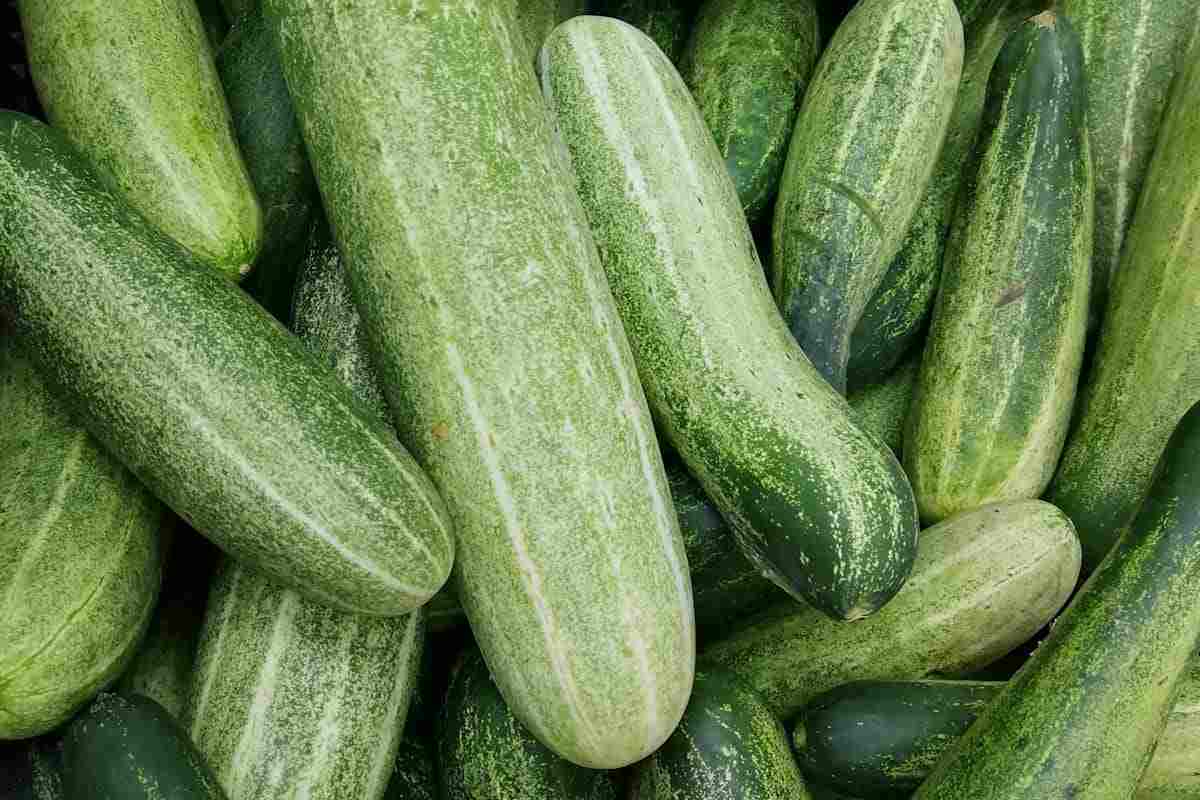 cetrioli