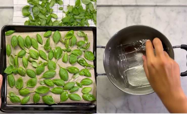 basilico surgelato e barattoli in pentola