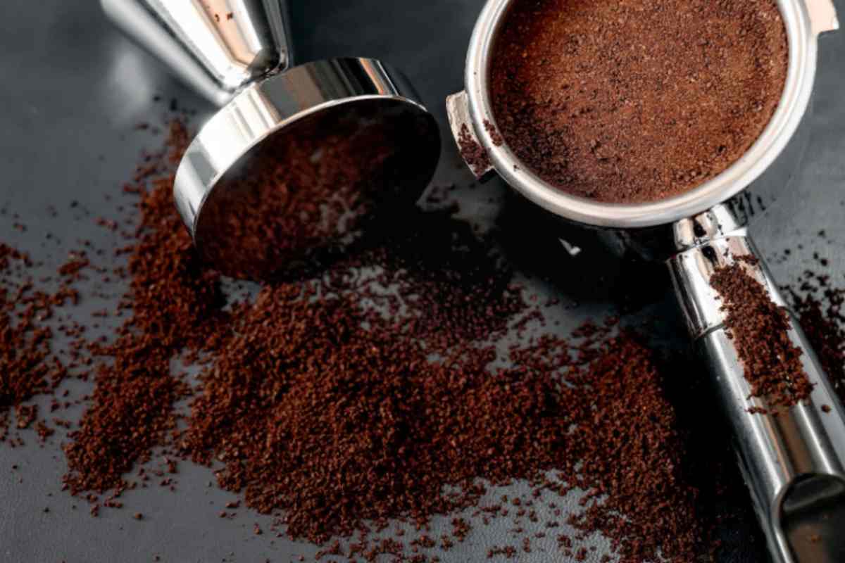 fondi del caffè