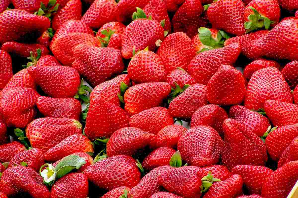 mucchio di fragole