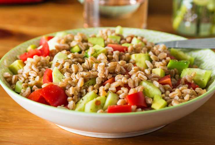 piatto con insalata di farro con pomodori, cetriolo e avocado