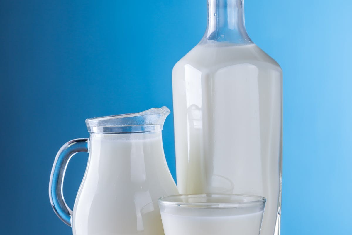 bottiglia e caraffa di latte