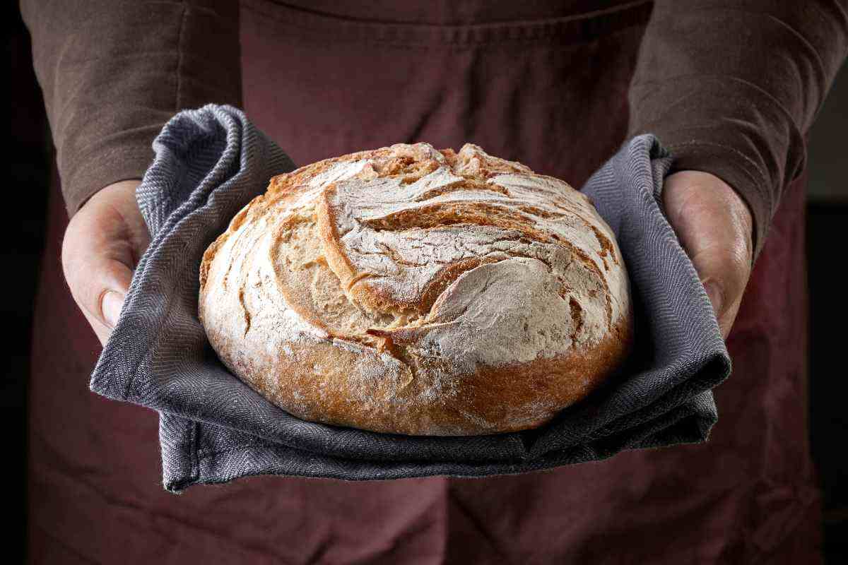 pagnotta di pane in mano