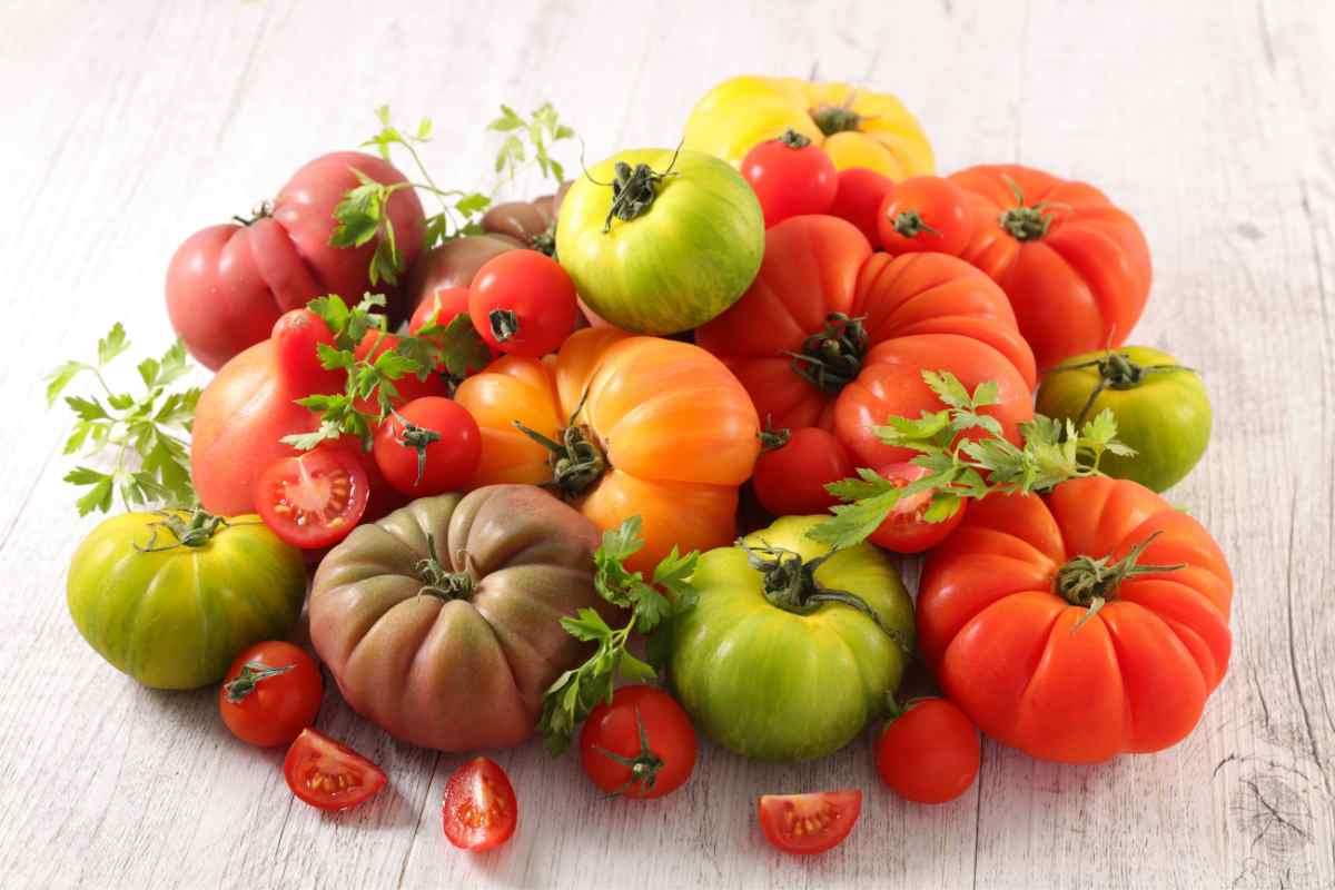 pomodori misti sul tavolo
