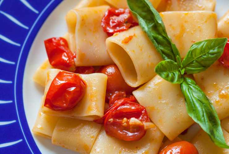 piatto di paccheri con pomodorino e basilico