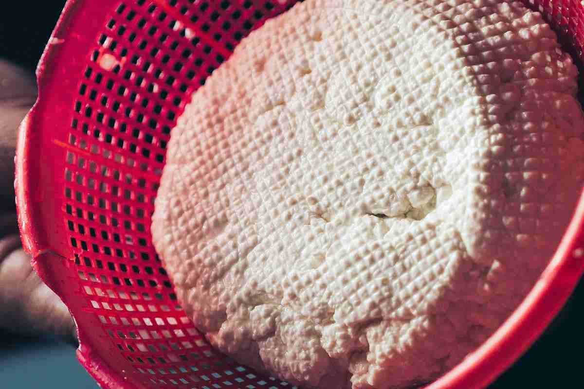 ricotta