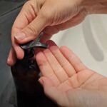 mani prendono sapone