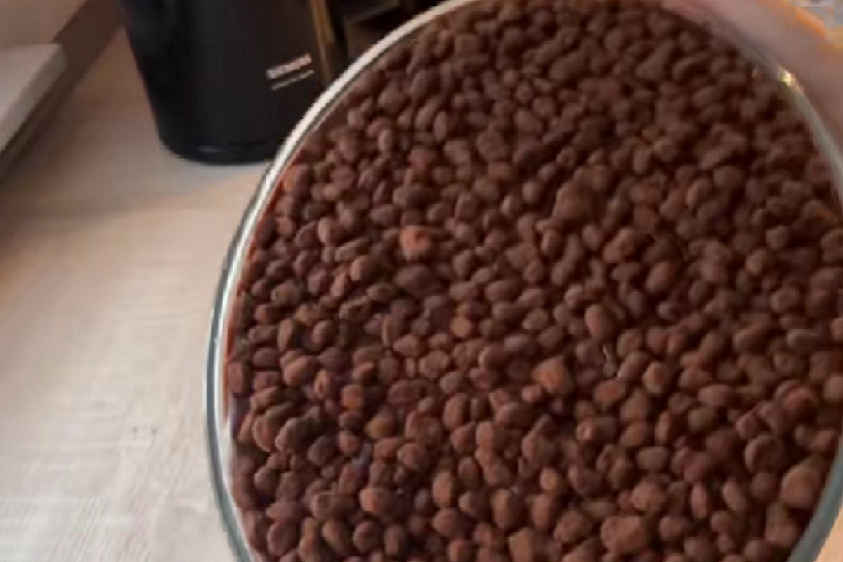 torta virale di Tik Tok Ahmed