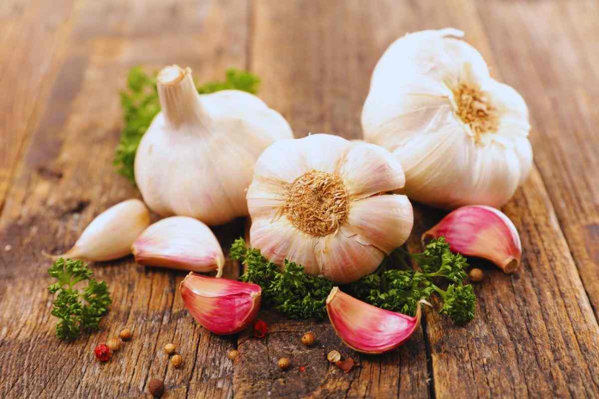 aglio sano e in spicchi