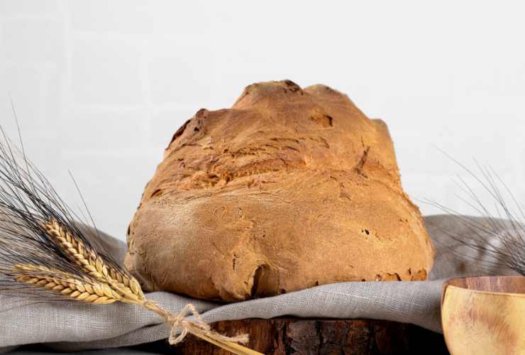 pagnotta di pane