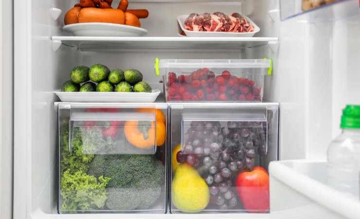 ripiani bassi del frigo con carne frutta e verdura