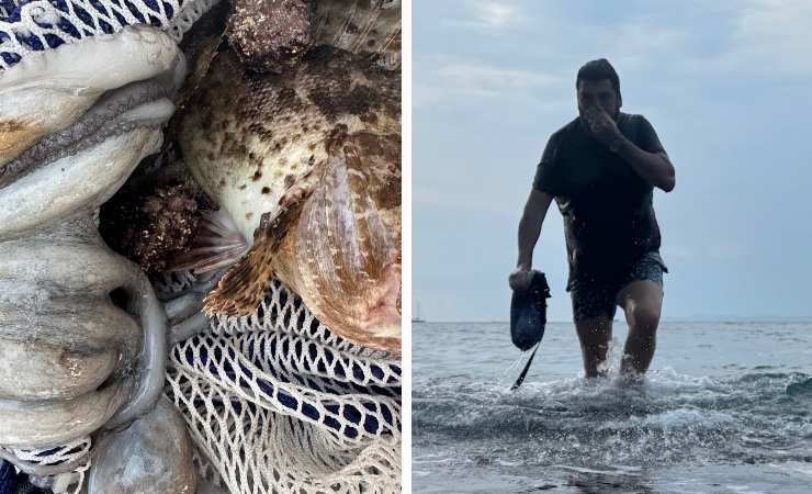 Antonino Cannavacciuolo che esce dal mare, un polipo e un pesce
