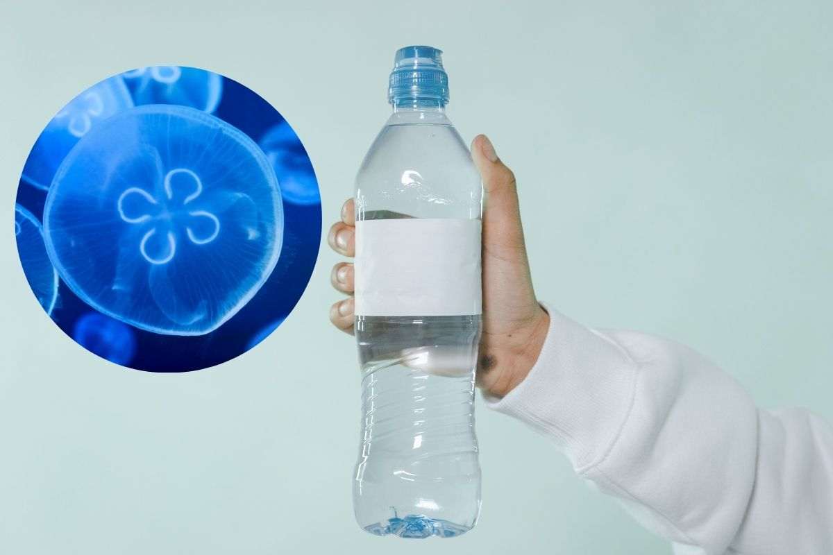 botulino, bottiglia d'acqua