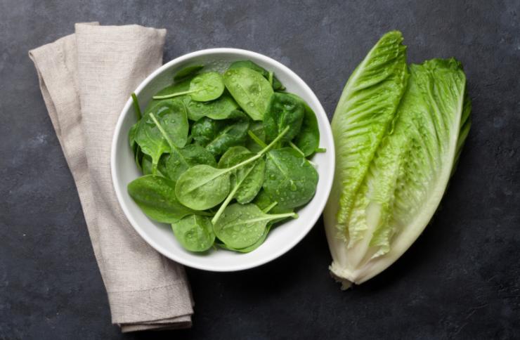 spinaci e lattuga freschi