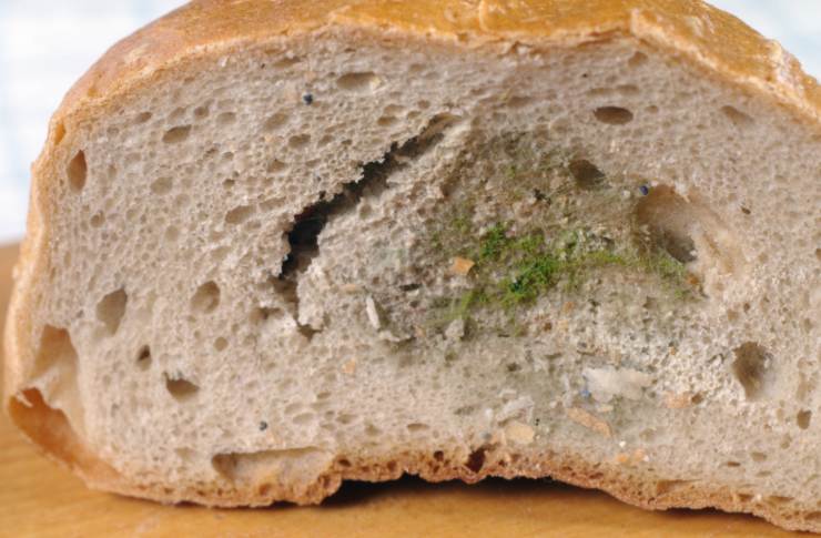 pane con la muffa