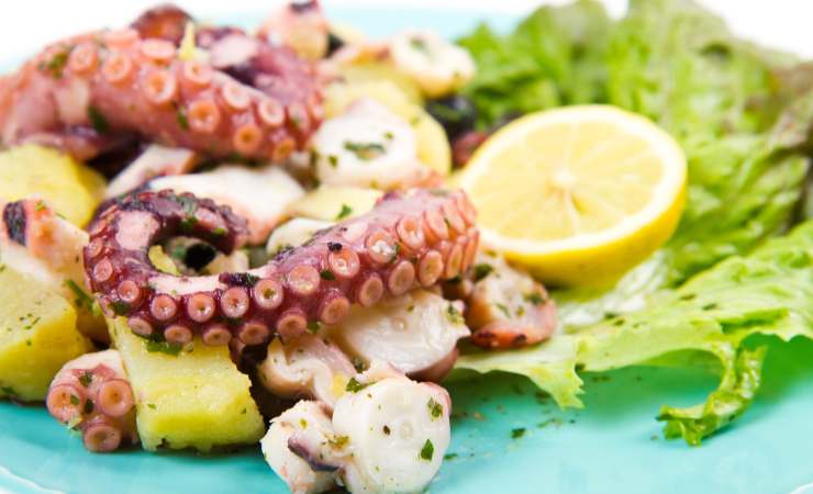 polpo in insalata con patate