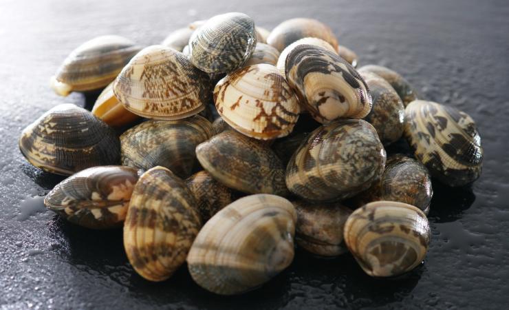 Vongole ancora chiuse