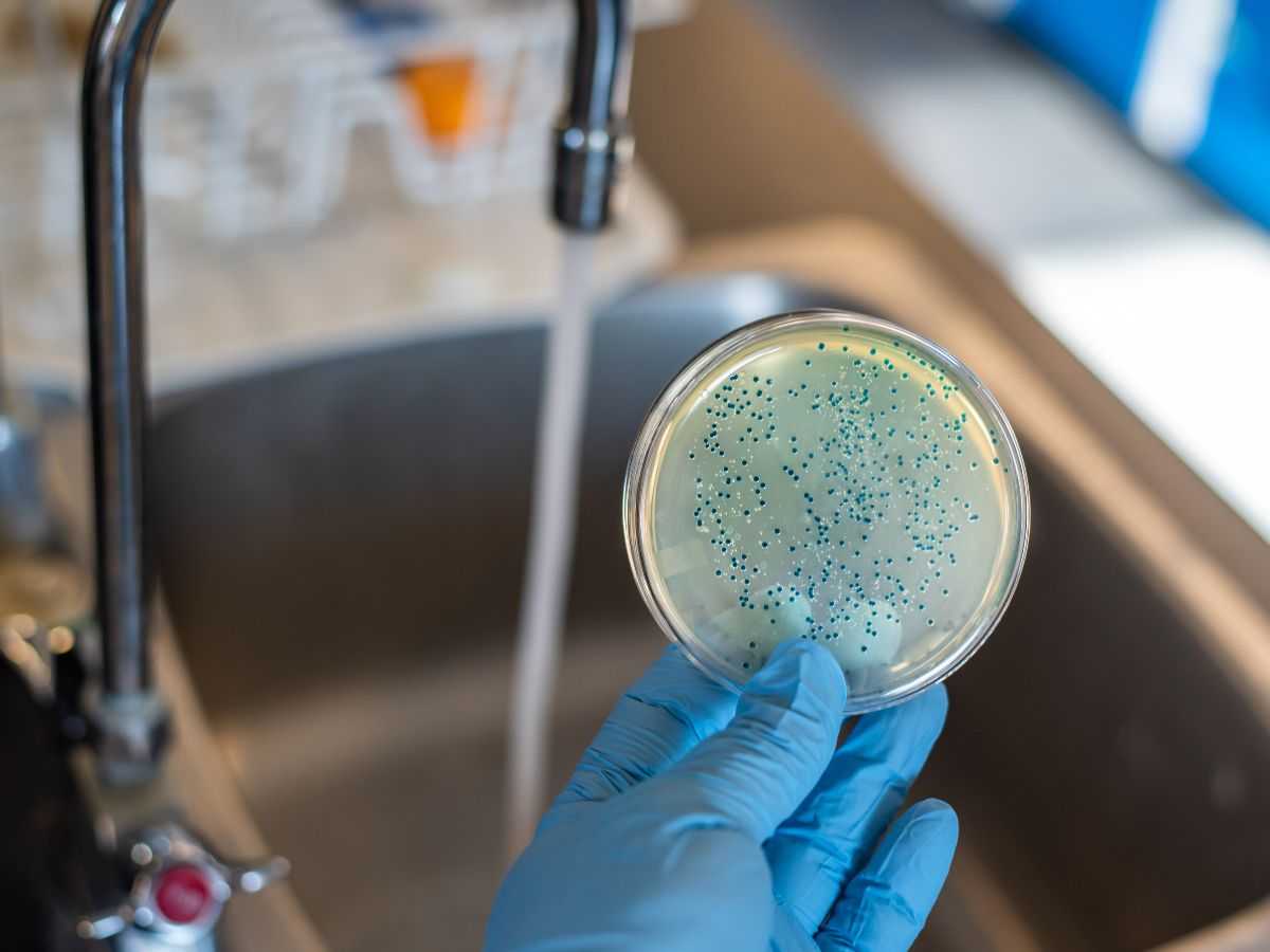provetta in laboratorio e rubinetto acqua