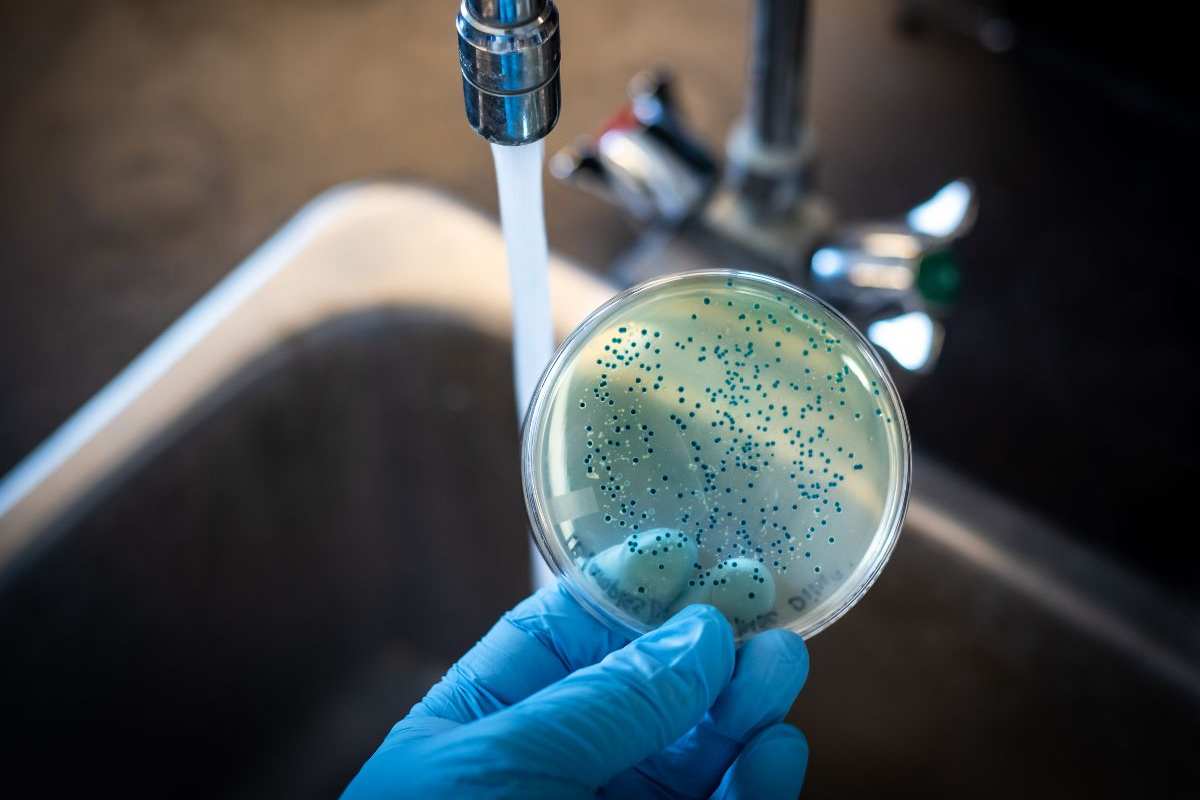 un disco provetta e acqua che scorre